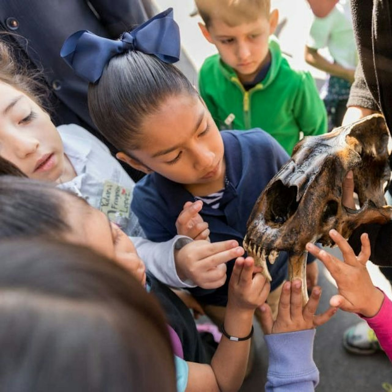 La Brea Tar Pits Museum - Photo 1 of 3